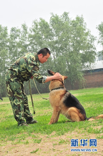 探访北京警犬训练基地