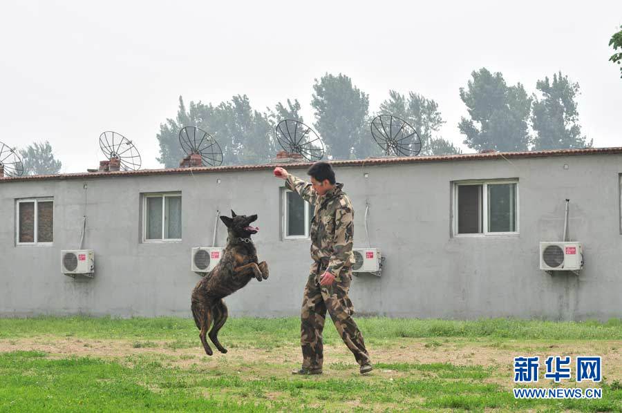 探访北京警犬训练基地