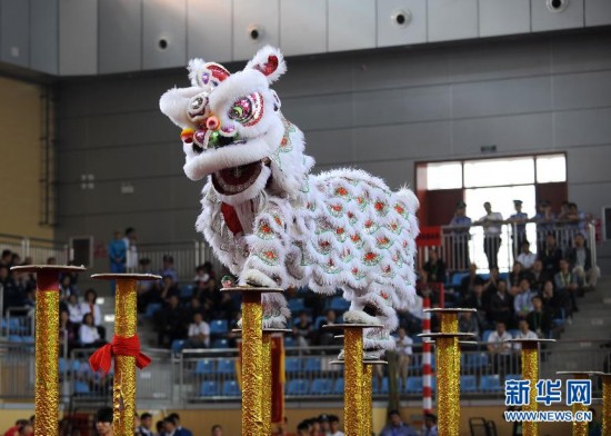 2026元宵节高明区明城狮王争霸赛活动安排(图1)
