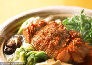 羊"悬筋:羊"悬筋(又称"蹄白珠,一般为圆珠形,串粒状,是