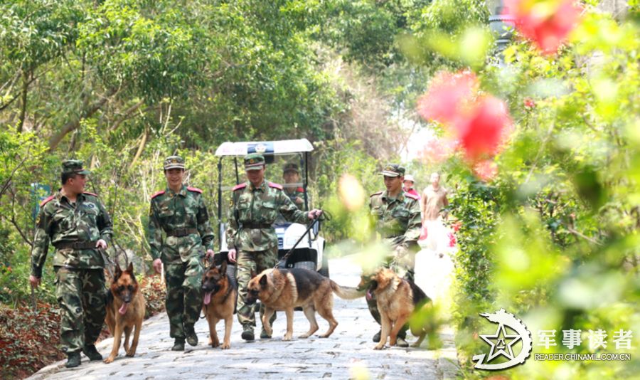 武警率军犬震慑野兽护卫游客