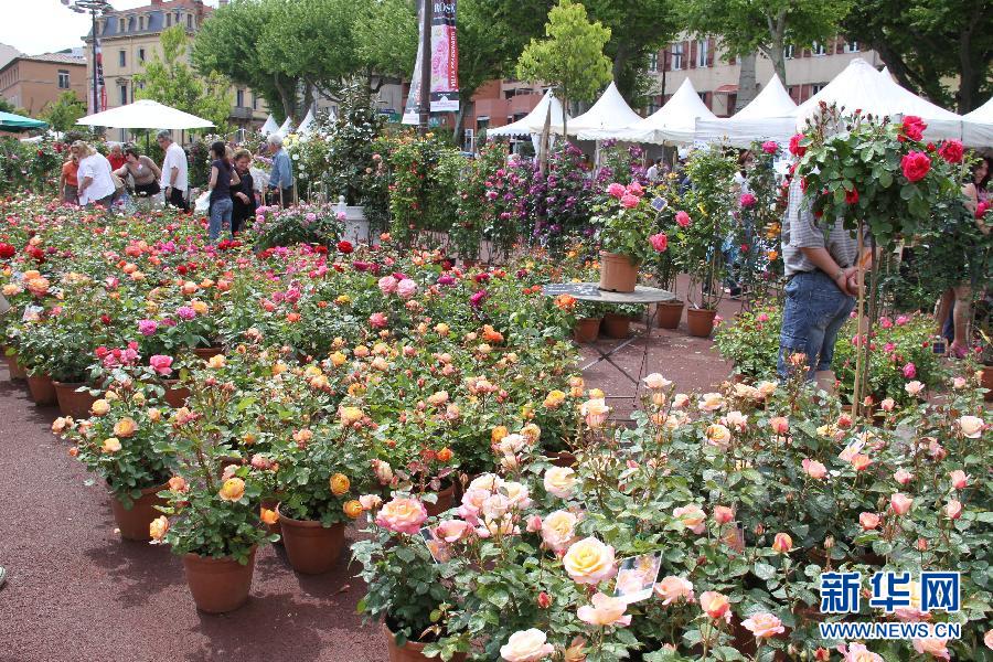 (国际(1)法国举办第43届格拉斯玫瑰节5月8日,人们在法国格拉斯市中心