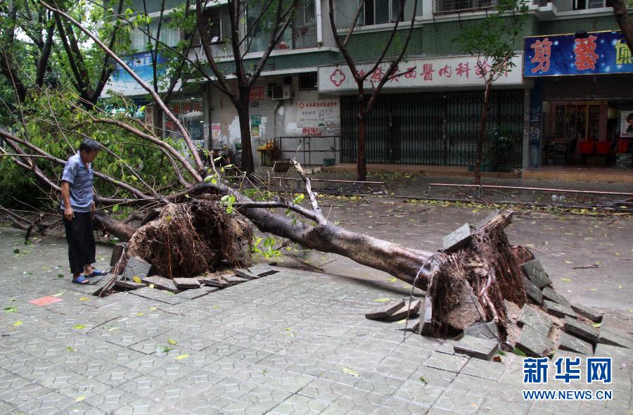 强台风天兔登陆广东汕头