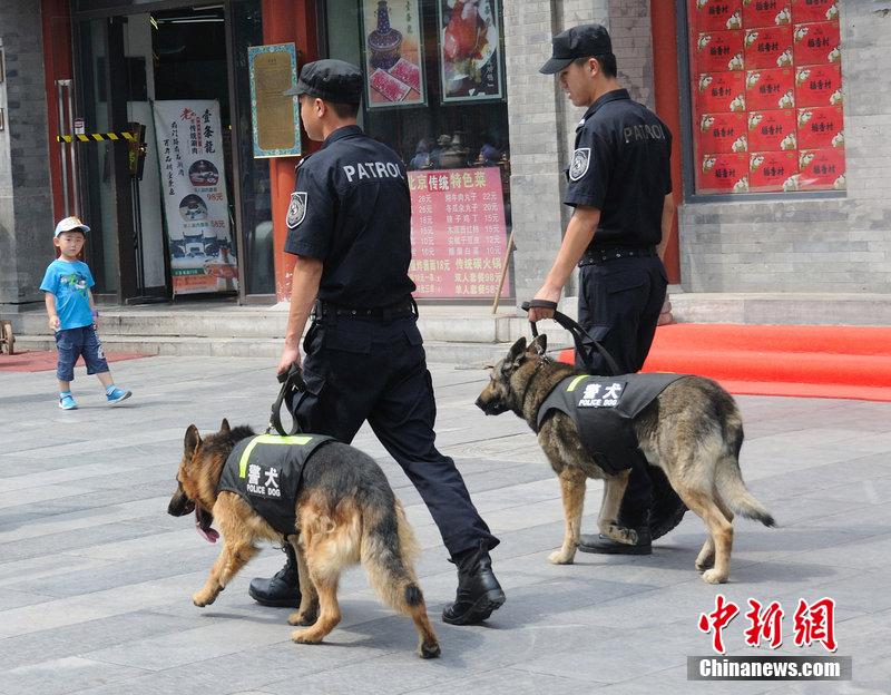 北京派出650只警犬上街巡逻