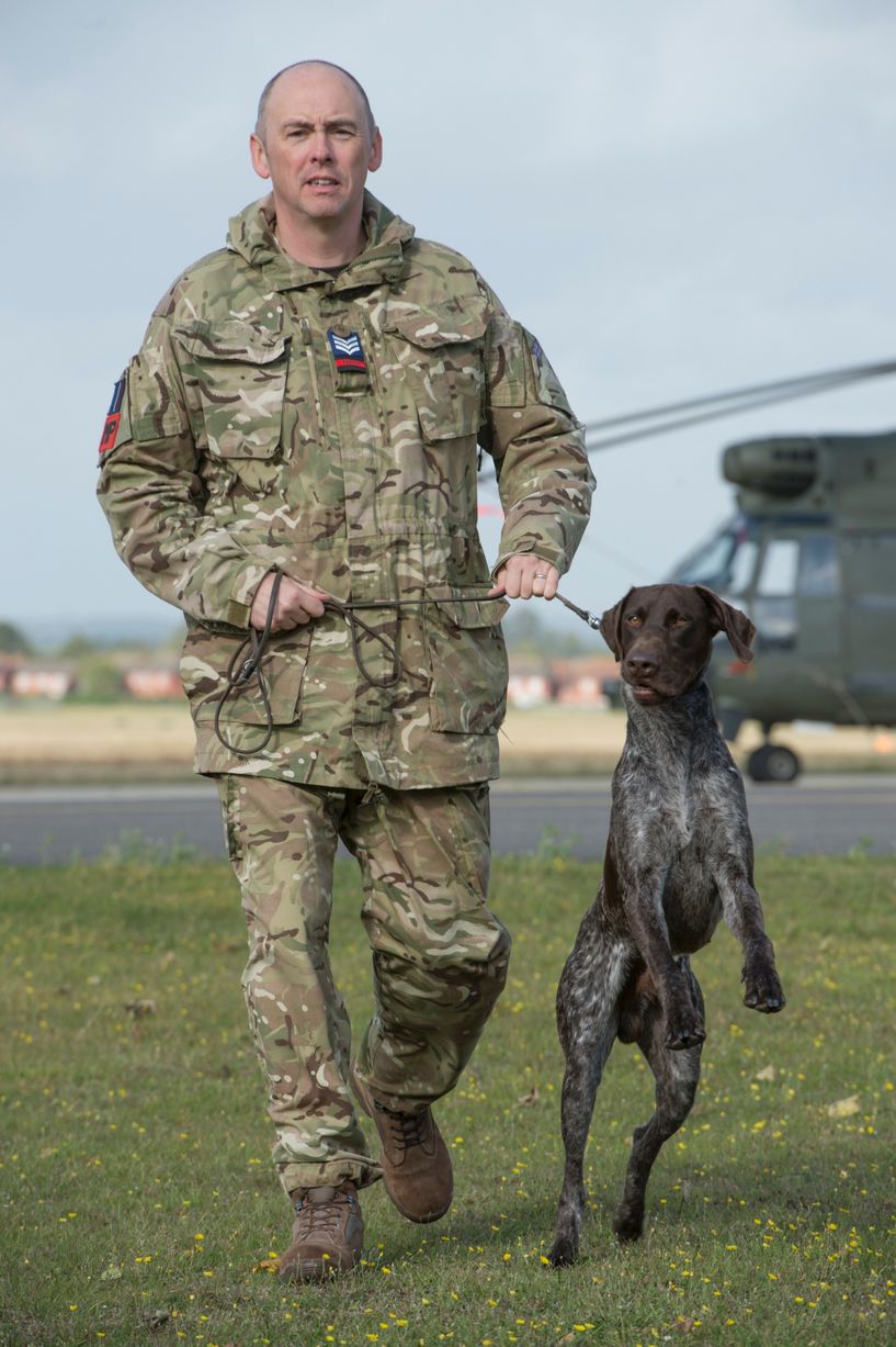 英国皇家空军功勋犬造型炫酷