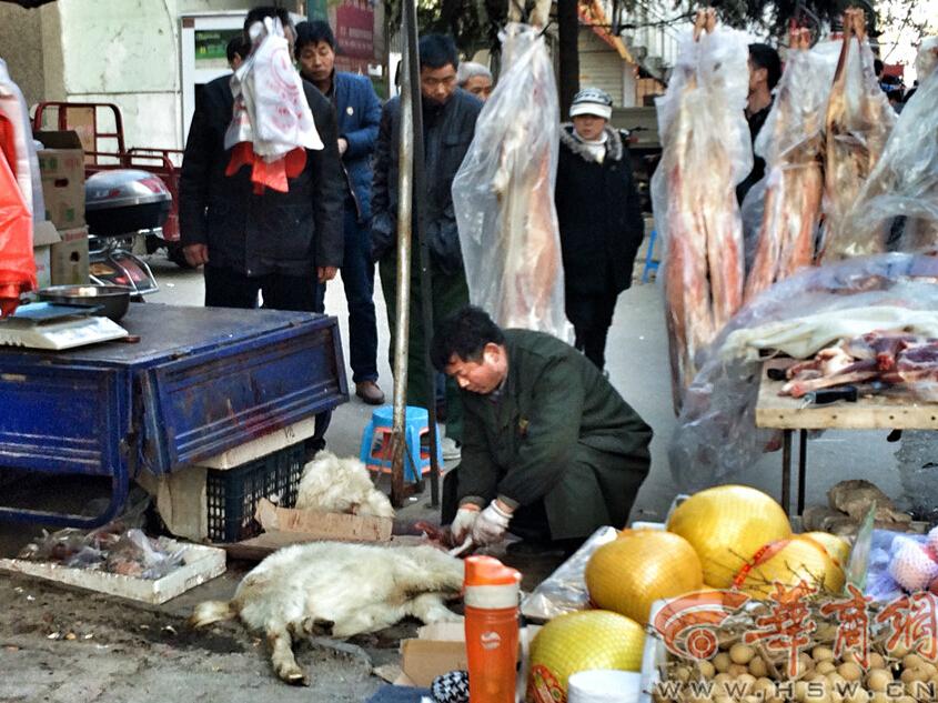 商贩街边现杀活羊卖儿童近距离观看杀羊全程