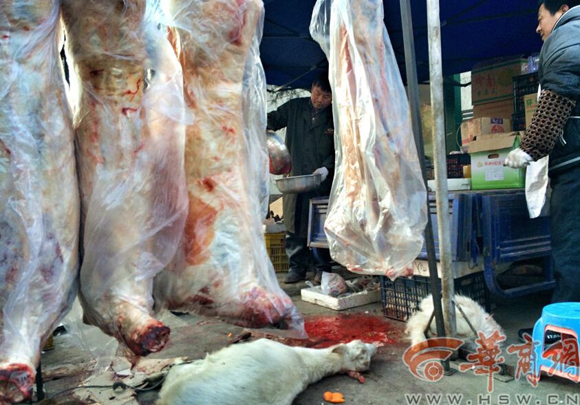 商贩街边现杀活羊卖儿童近距离观看杀羊全程