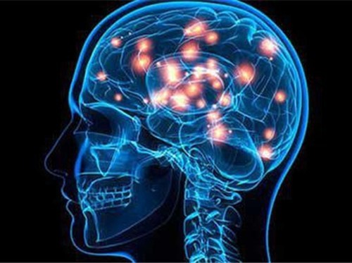 人类大脑的使用量其实超过10%.至于其它的90%,应该是用来搞笑的.
