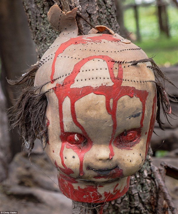 胆小莫入 探访墨西哥恐怖的娃娃森林