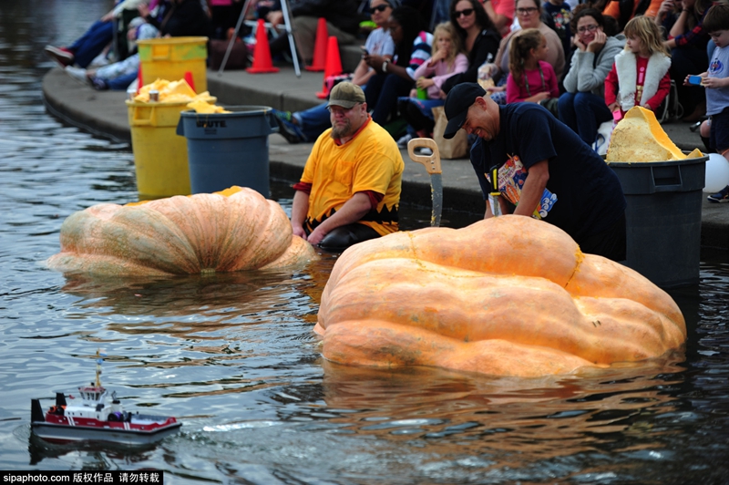 第12届美国西岸巨无霸南瓜快艇赛(west coast giant pumpkin regatta)