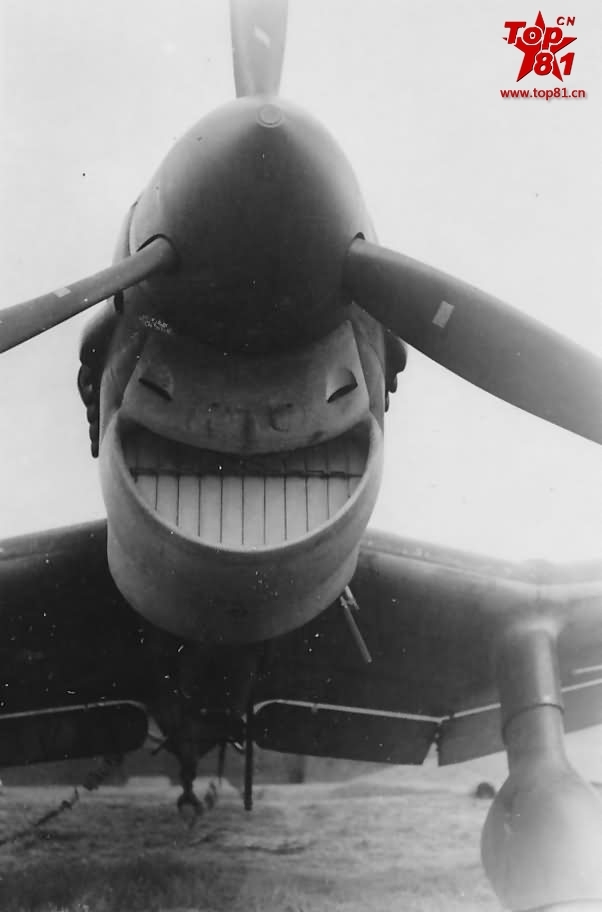 在特定的角度下,一些军事装备会出现搞笑的"表情",这组图就是飞机的