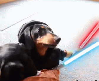 这个相册有毒cos新星神还原星战绝地武士