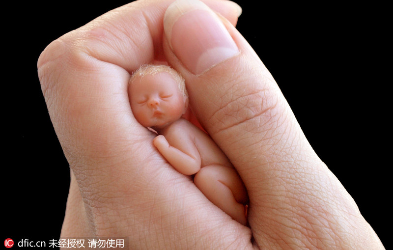 加拿大女艺术家巧手制作"拇指婴儿" 娇俏可爱惹人怜