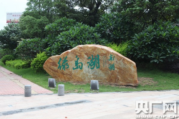 佛山绿岛湖:滩涂地十年转型鹭乐园
