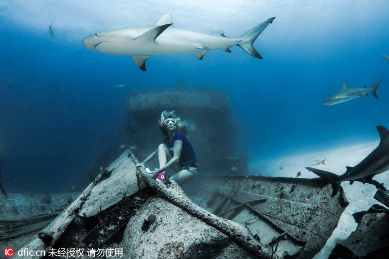 女潜水员海底探秘船只残骸穿比基尼与鲨鱼惊魂共舞