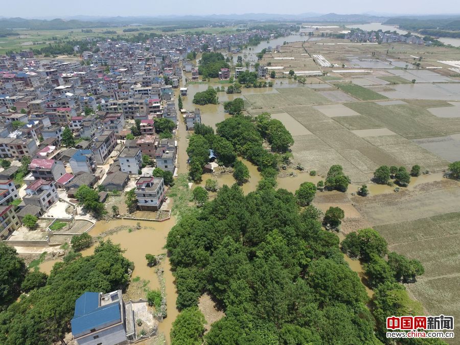 田卫涛 摄 6月22日,江西省鄱阳县凰岗镇洪水退去缓慢.