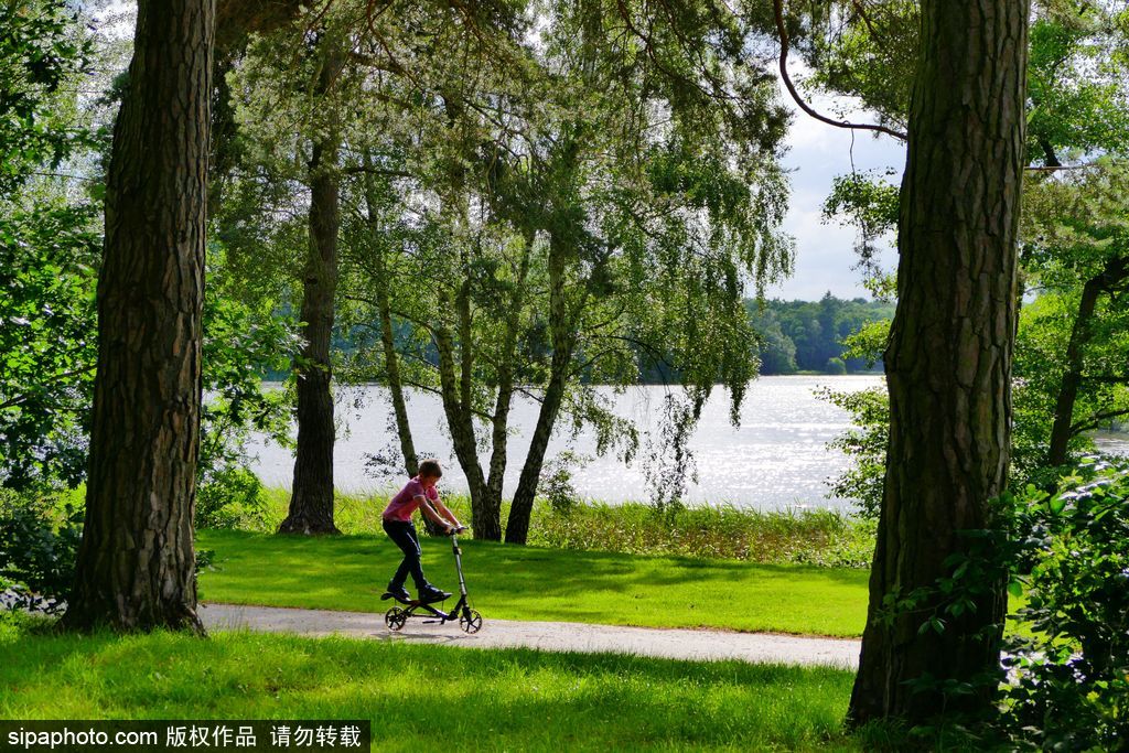 温莎森林 环球网