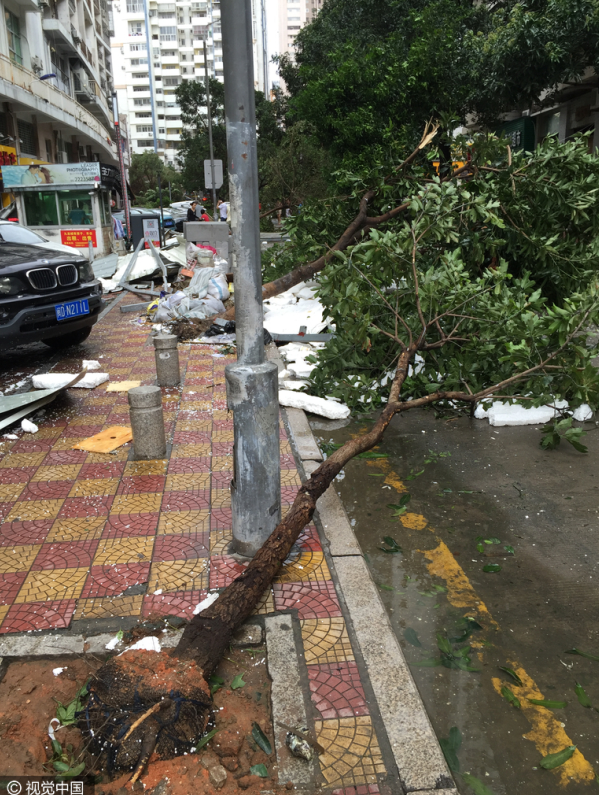 福建厦门台风莫兰蒂肆虐城区瞬间狼藉