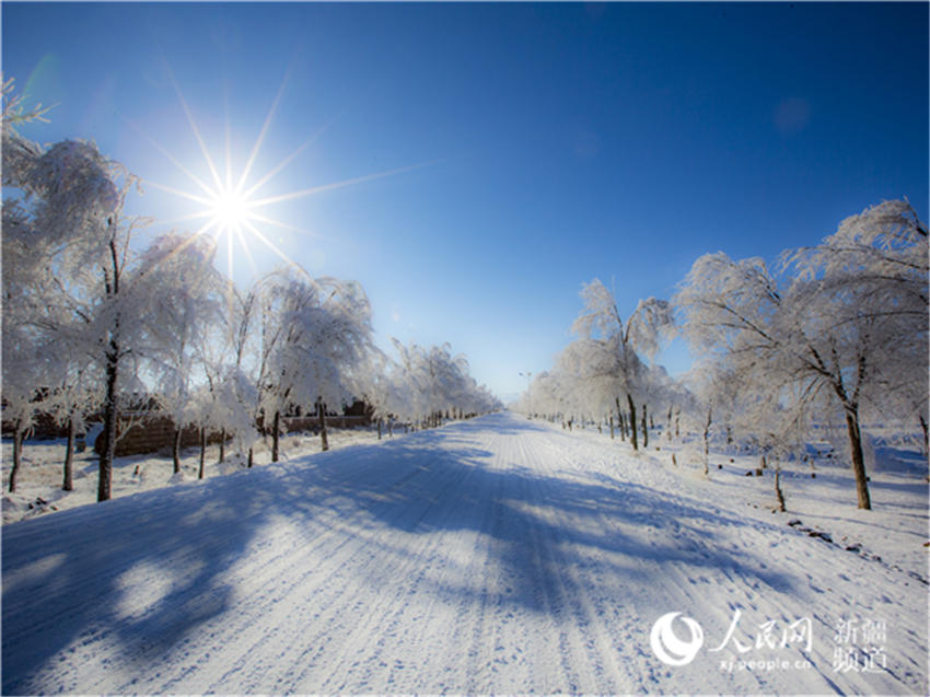 新疆木垒:南沟雾凇 雪域盛情(组图)