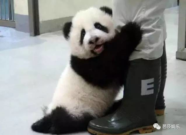 你说你都这么可爱了竟然还会撒娇!