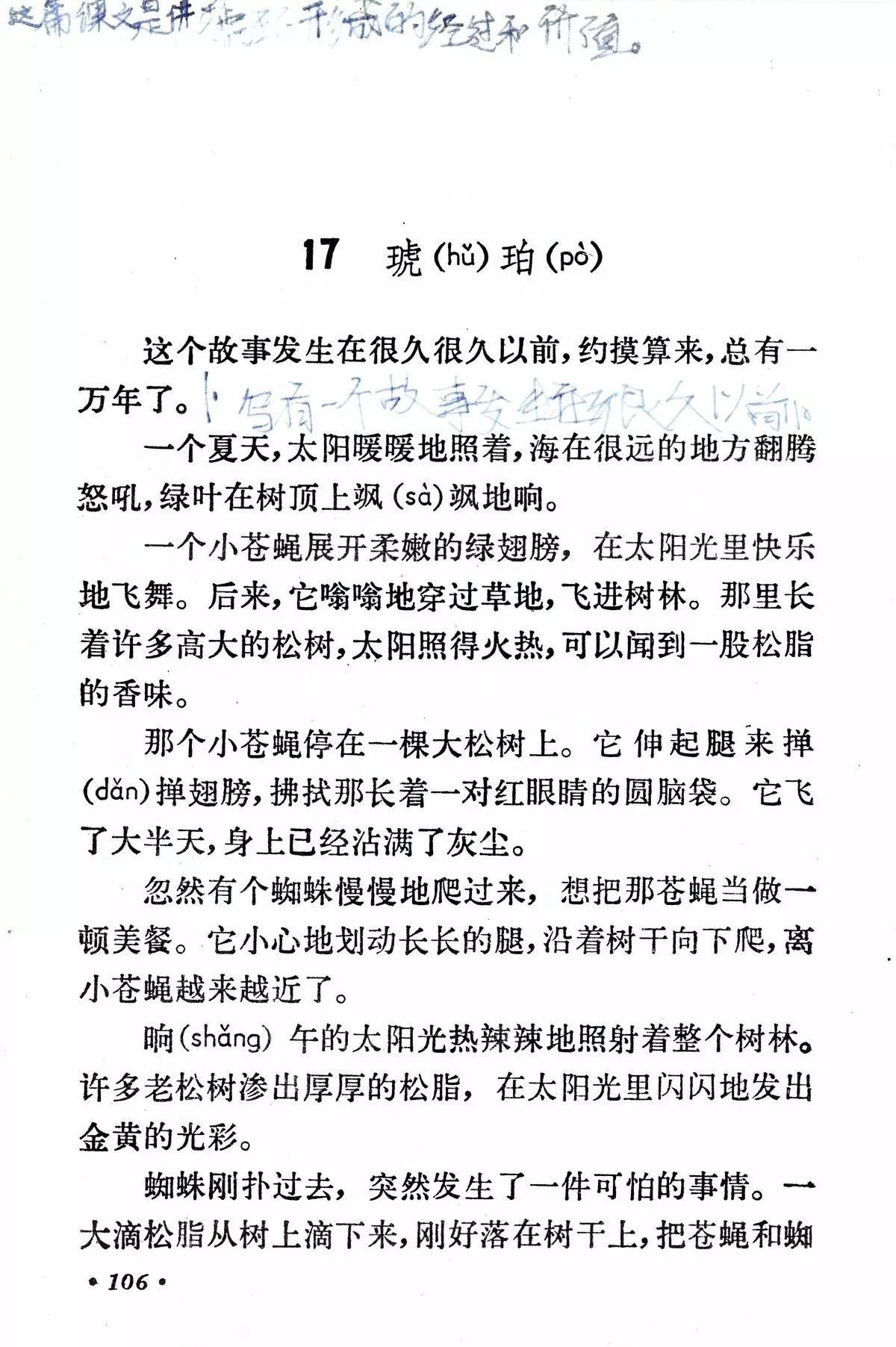 琥珀柏吉尔丨那些年我们一起读过的课文