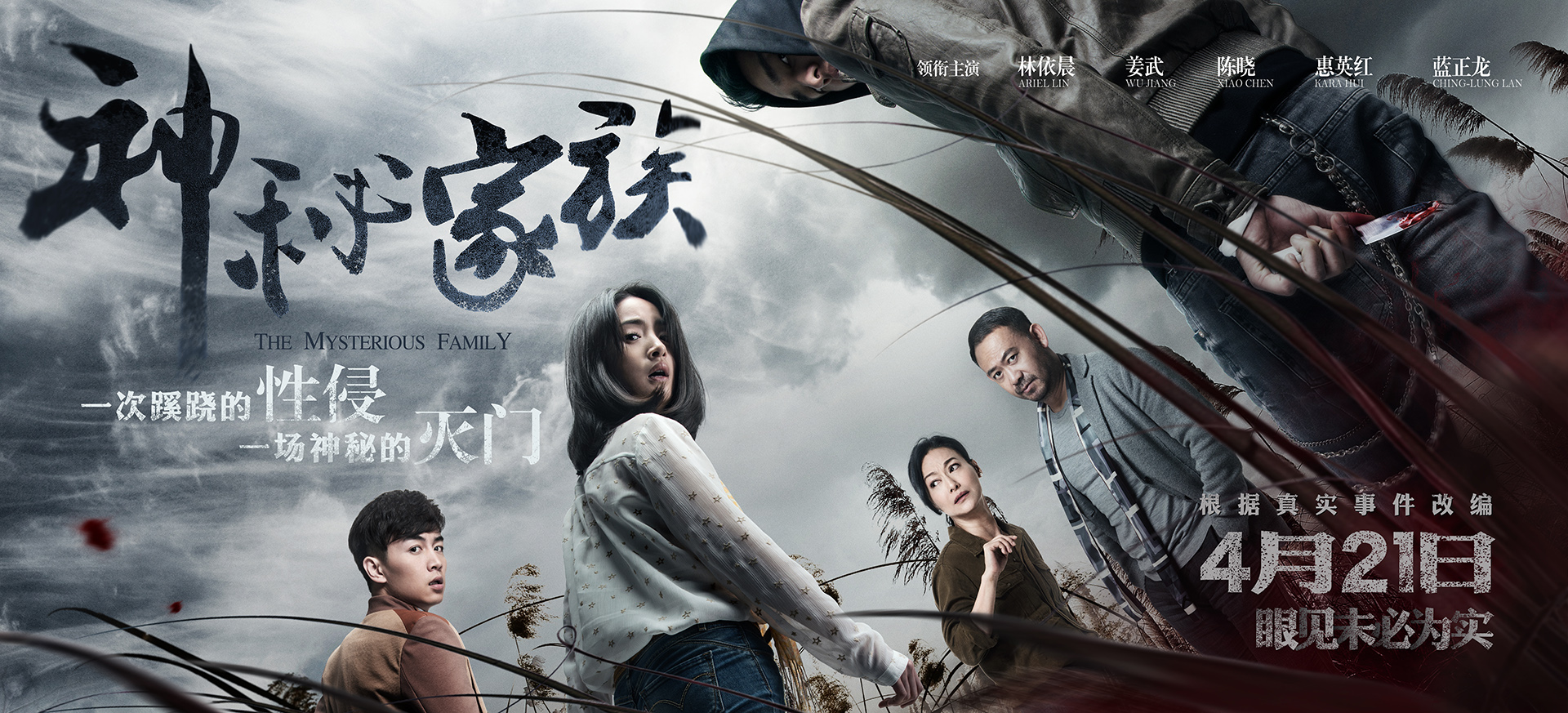 《神秘家族》斩获高口碑 树立国产悬疑片新标杆