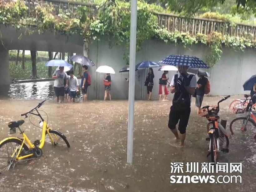 雨中走路上班的人们 17/19 隐藏描述