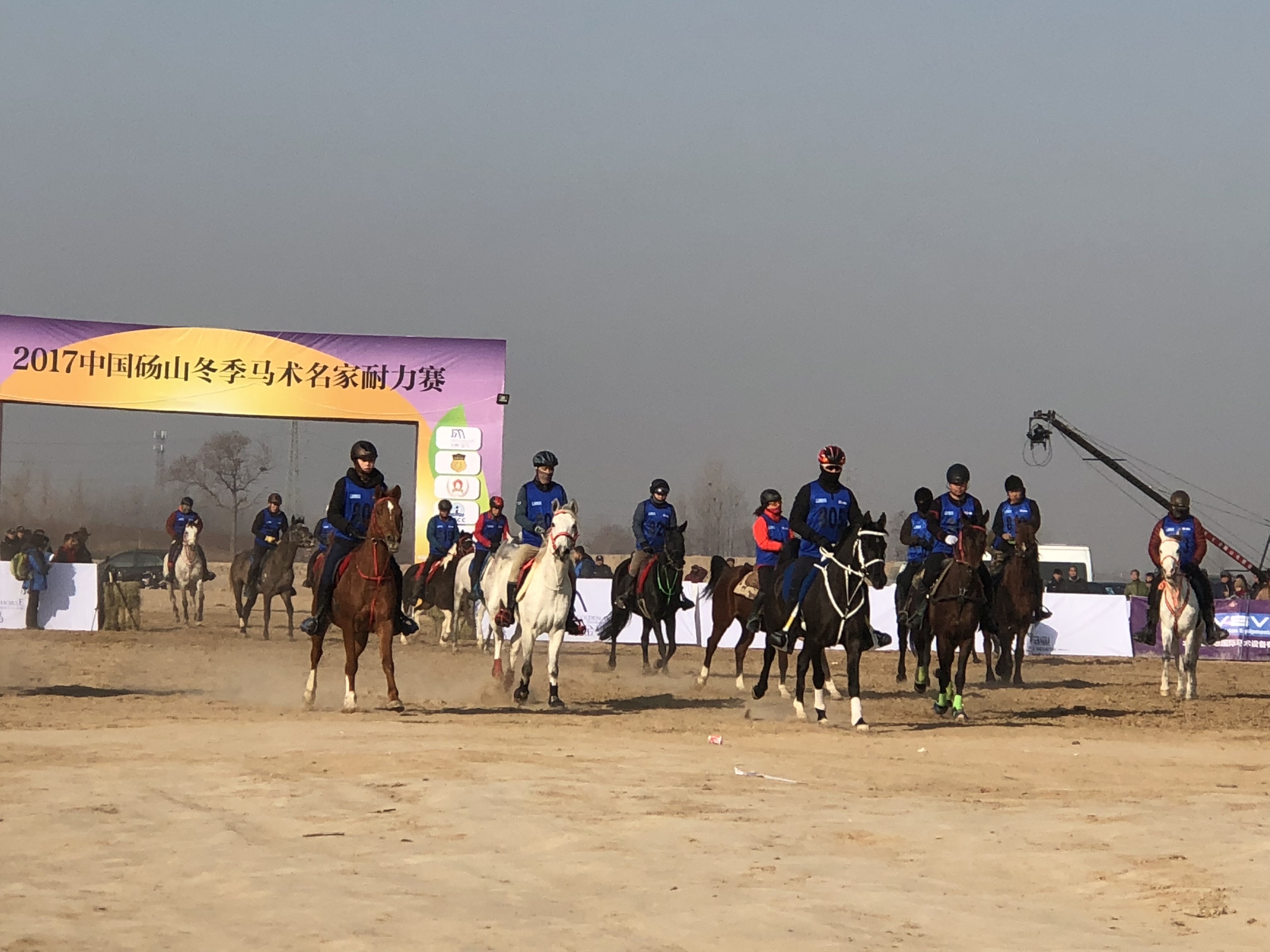 中国砀山冬季马术名家耐力赛在黄河故道揭幕