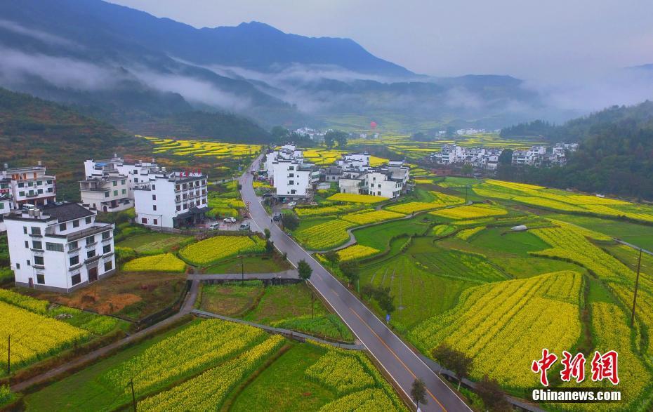 3 航拍"中国最美乡村"江西婺源 油菜花进入盛花期