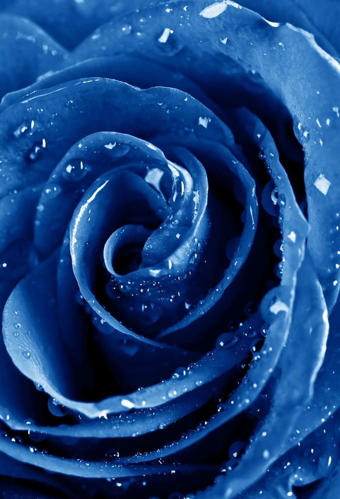 导演田七歌曲《喜欢听你的声音》 敏敏一笑亦