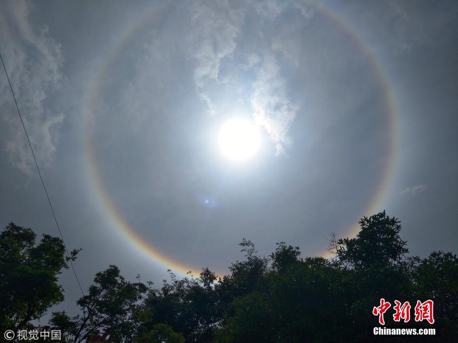 昆明天空现日晕景观硕大光圈包裹太阳