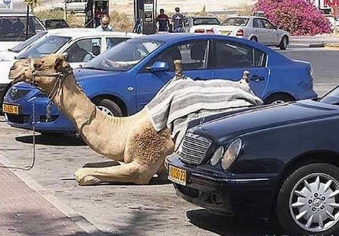 光天化日下停车场里居然发生了这种事 太尴尬了！