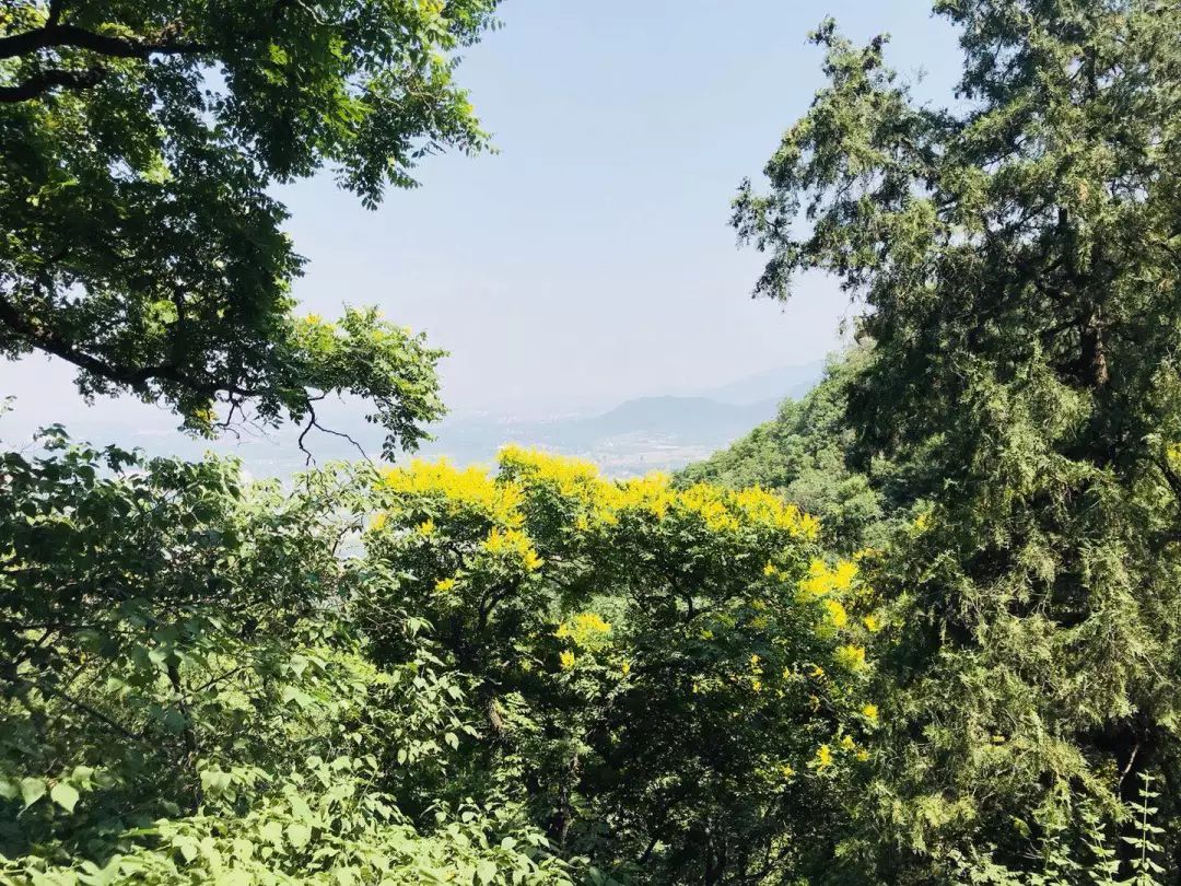 趣游鹫峰 登山赏景 开启海淀健身季!