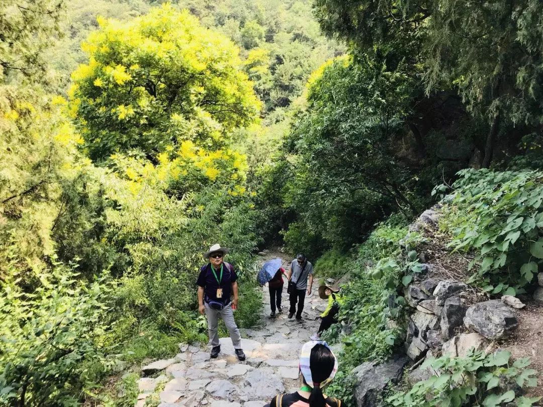 趣游鹫峰 登山赏景 开启海淀健身季!