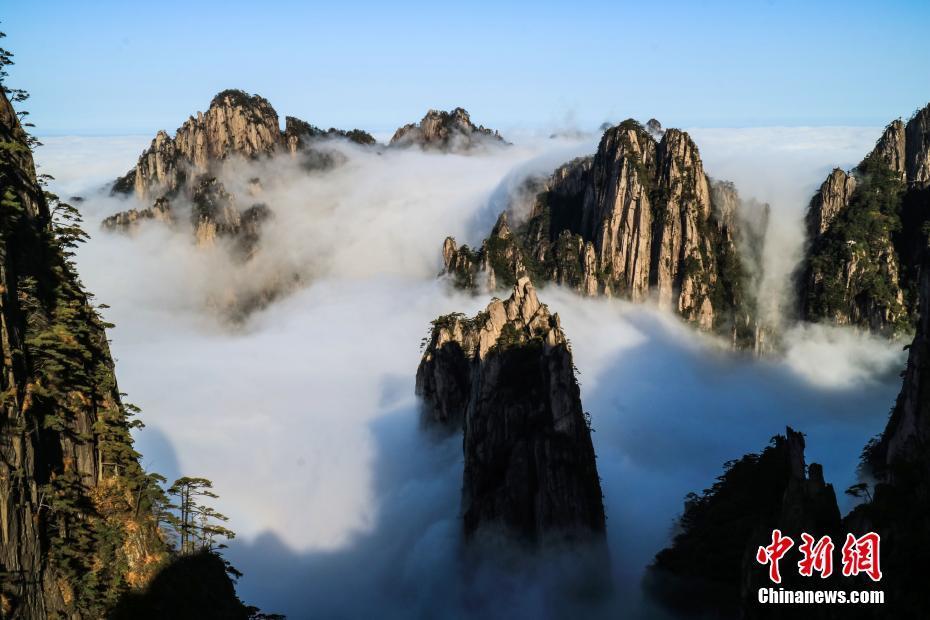 10月23日,从安徽黄山白云溪景点望去,群峰间云海铺陈,山峰从云海中冒