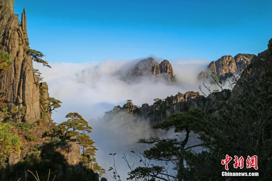 10月23日,从安徽黄山白云溪景点望去,群峰间云海铺陈,山峰从云海中冒