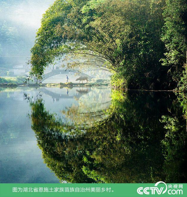 历史巨变:人与自然和谐发展 推进美丽中国建设