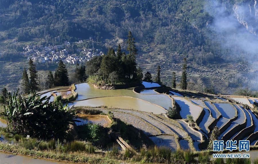 这是云南省红河州元阳县的哈尼梯田美景(12月18日摄).