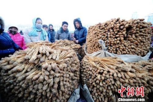 甘肃岷县中国当归城内中药材交易场景.杨艳敏 摄