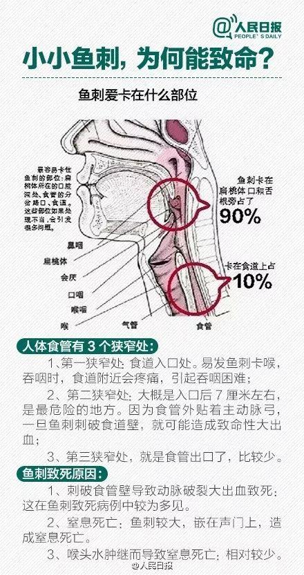 总医院,经过开胸手术,上人工心肺机辅助,医生终于顺利完成主动脉分离