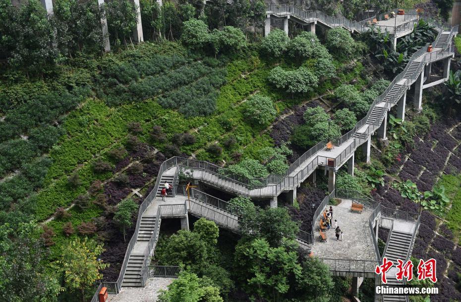 重庆现"魔鬼归家路 市民回家先爬山