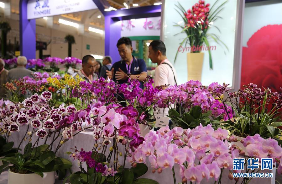 4 第20届中国昆明国际花卉展开幕