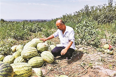 瓜园村人口_瓜岭村