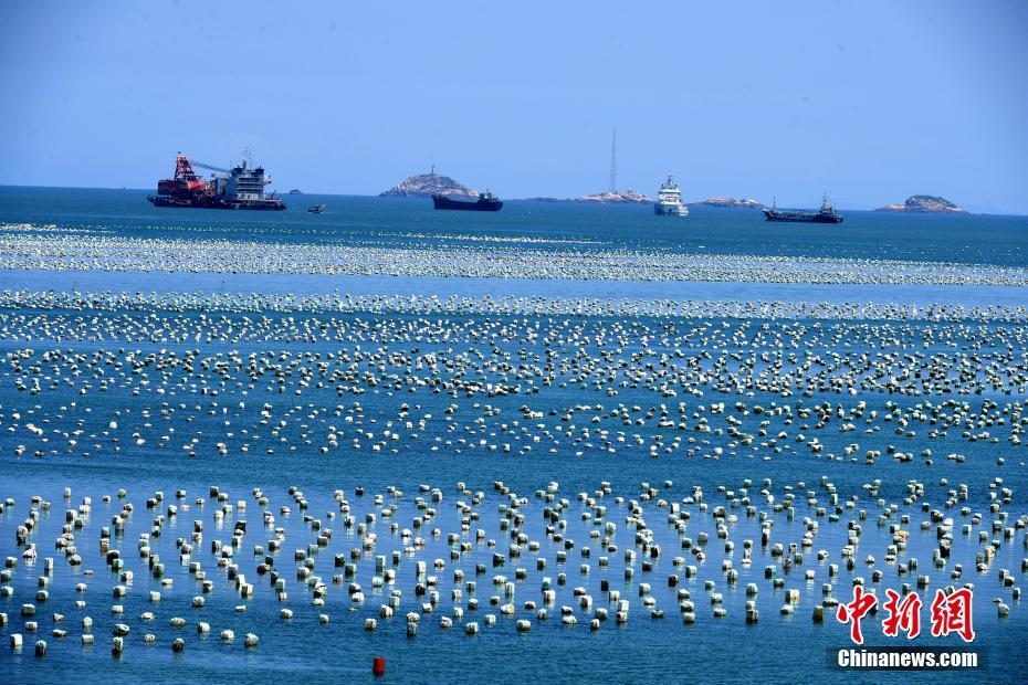 探访福建连江壮观的"海上牧场"