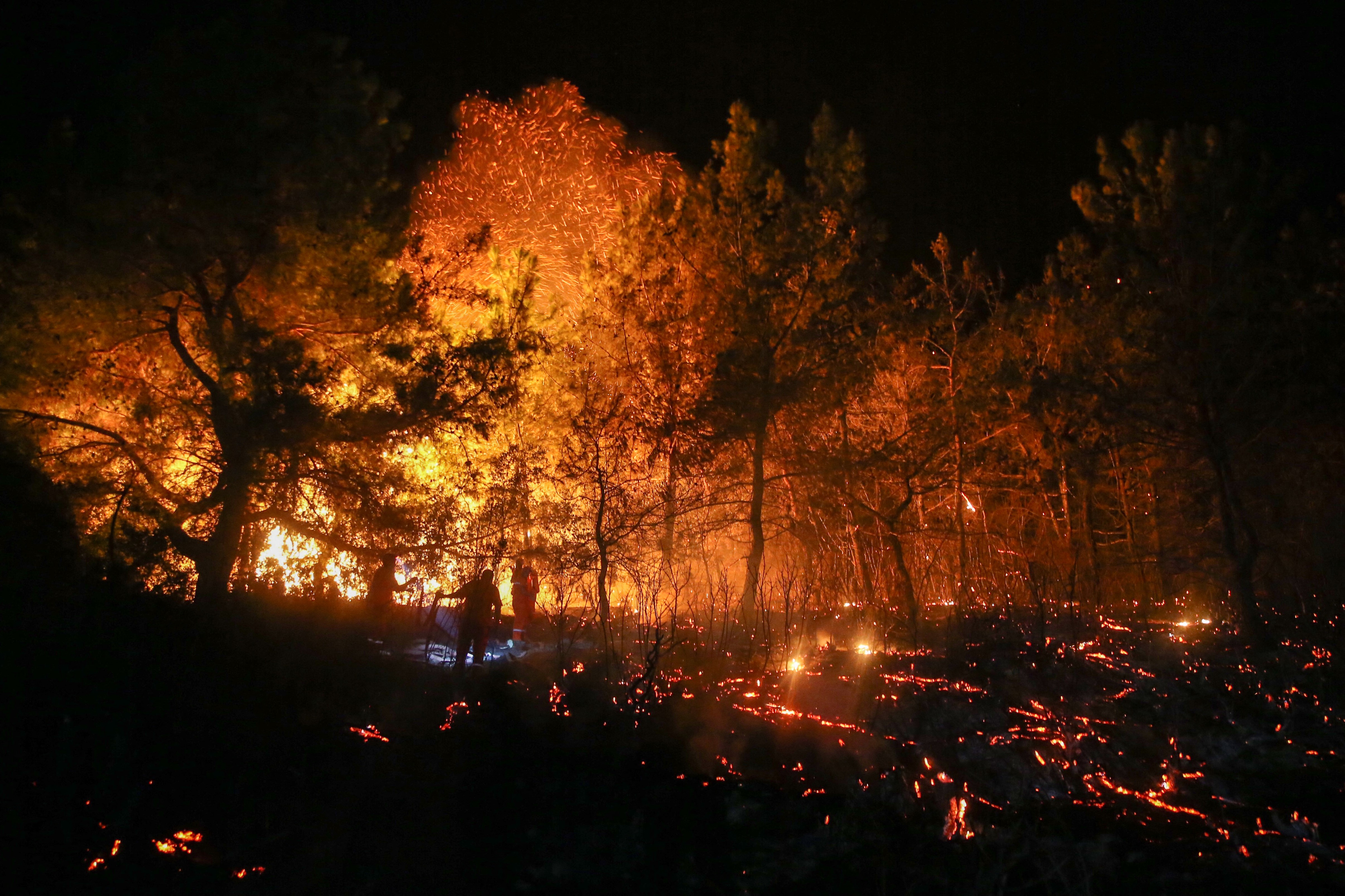 土耳其山区突发大火 熊熊火光照亮黑夜