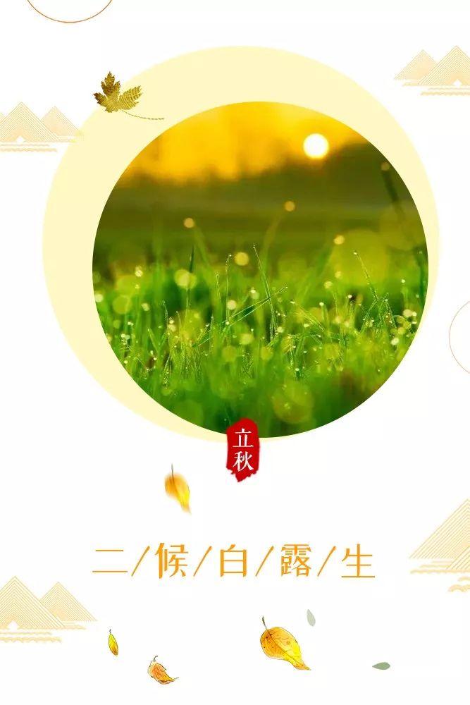 二候白露生