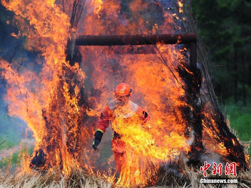 锤炼心理素质 吉林森林消防"新兵"奋不顾身闯"火场"