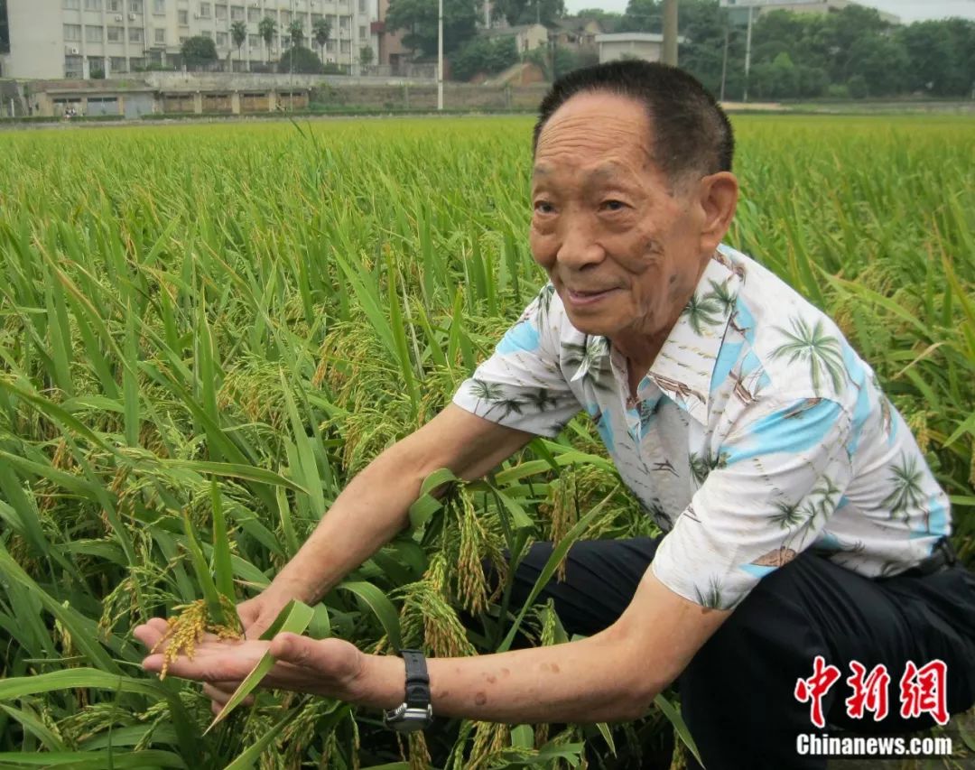 "年轻人应该有理想,为实现理想去奋斗 9月7日 是"杂交水稻之父"