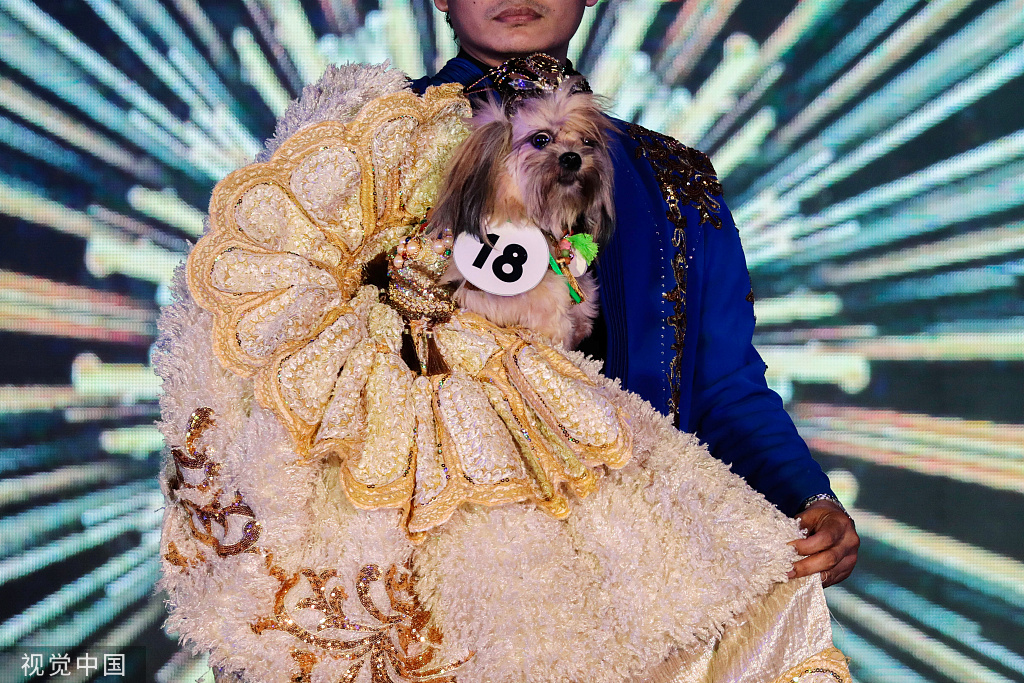 菲律宾举办宠物时装秀庆祝世界动物日