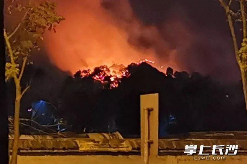 岳麓山起火官方辟谣起火地为乌龟山明火已灭无伤亡